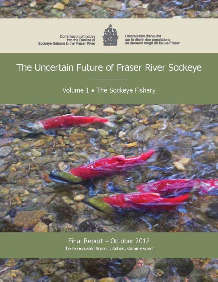 Cohen Commission final report